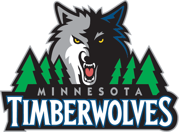 Minnesota Timberwolves 2008-2016 Primary Logo t shirts iron on transfers